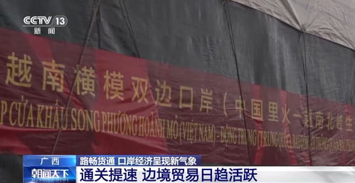 15秒通關！榴蓮快速入境折射口岸經濟新活力，國內貿易代理迎機遇