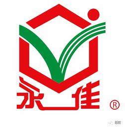 創意飛揚，智造未來——石獅市首屆紙玩大賽圓滿落幕，國內貿易代理企業彰顯創新力量